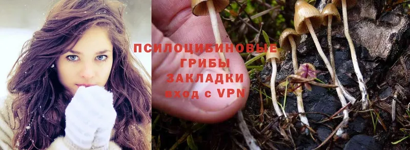 Галлюциногенные грибы MAGIC MUSHROOMS  Югорск 